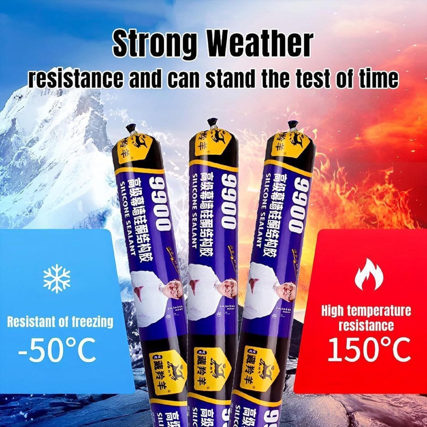 Advanced Waterproof Silicone Sealant (0.75 kg)
